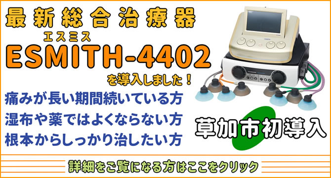 総合治療器エスミス4402