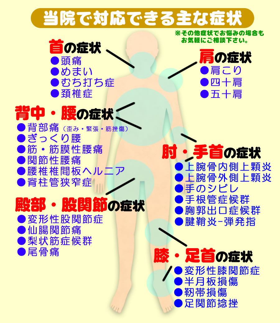 当院で対応できる主な症状

首の症状
肩の症状
背中・腰の症状
肘・手首の症状
腰部・股関節の症状
膝・足首の症状