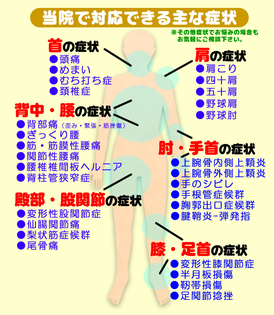 当院で対応できる主な症状

首の症状
肩の症状
背中・腰の症状
肘・手首の症状
腰部・股関節の症状
膝・足首の症状