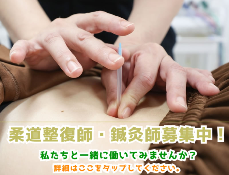 柔道整復師　鍼灸師　某集中